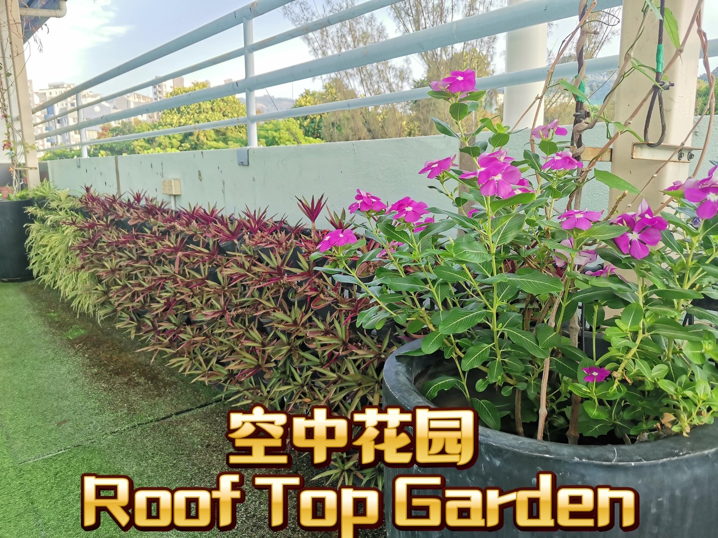 校园简介 - frame at 0m17s