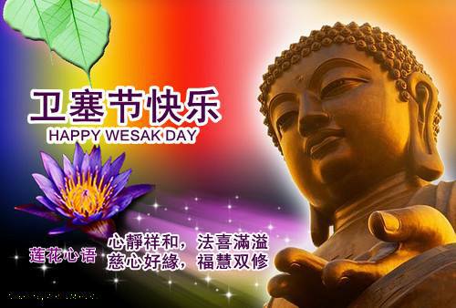 18446721_1255471054564012_3540893774005230239_n