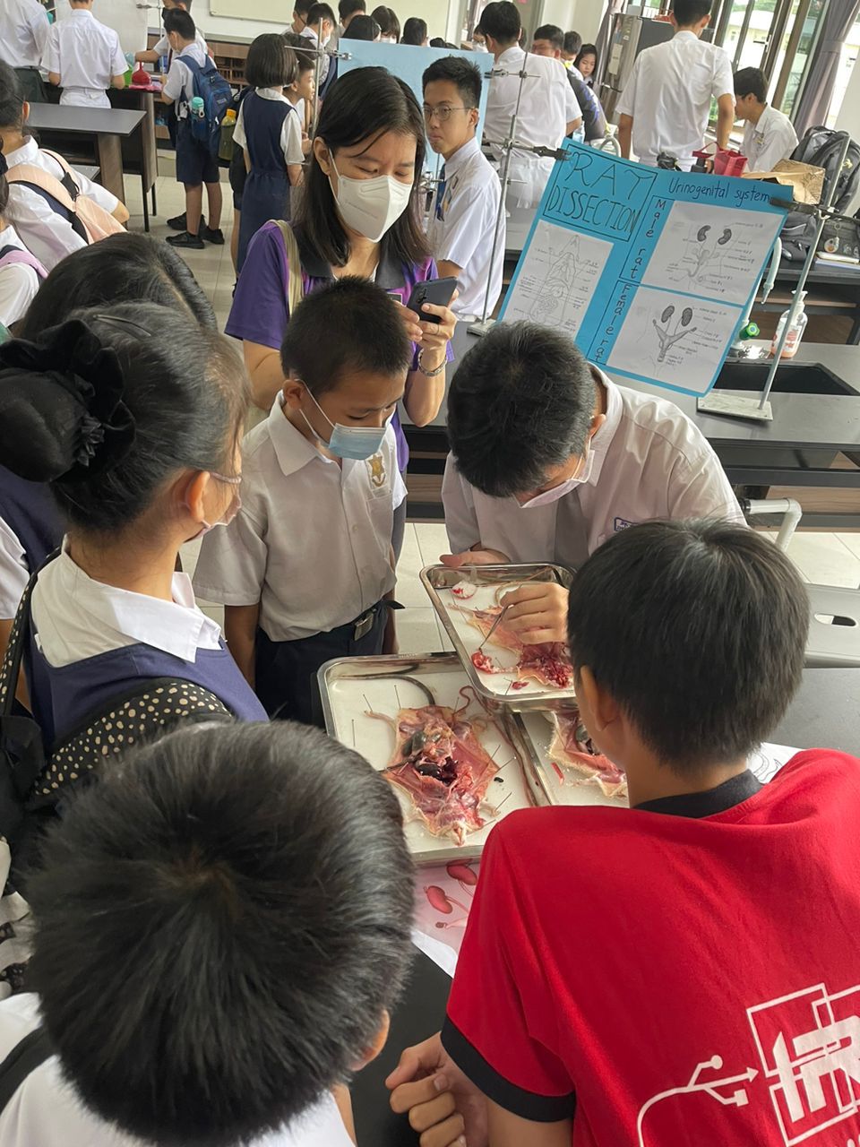 钟灵国民型中学科学展 – SJK (C) MIN SIN 槟城明新学校